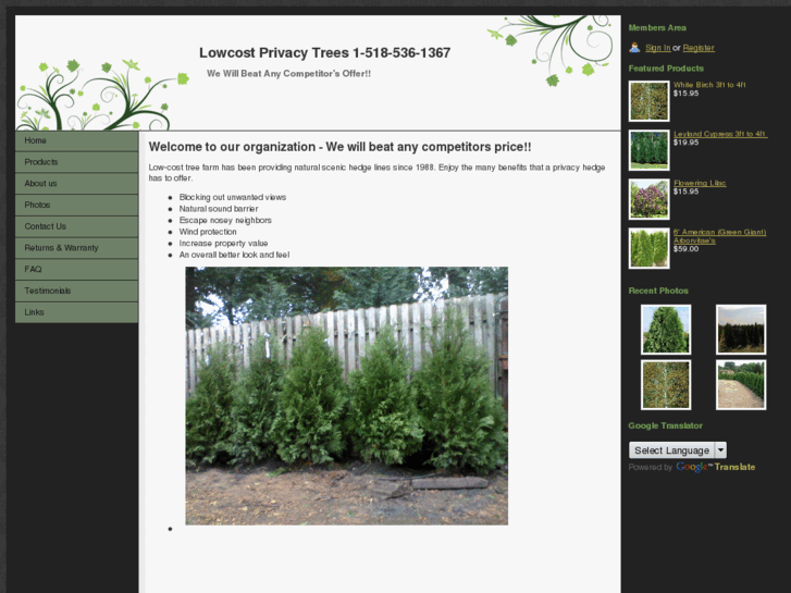 www.lowcosttrees.com