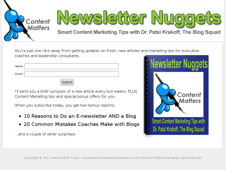 www.newsletternuggets.com