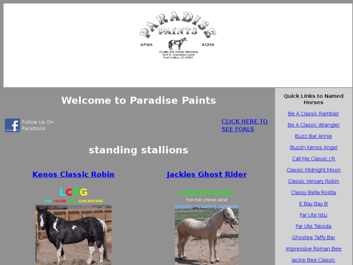 www.paradisepainthorses.com