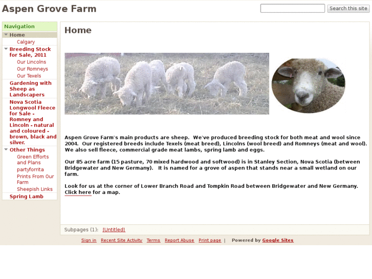 www.aspengrovesheep.com