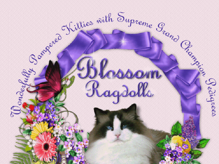 www.blossomragdolls.com