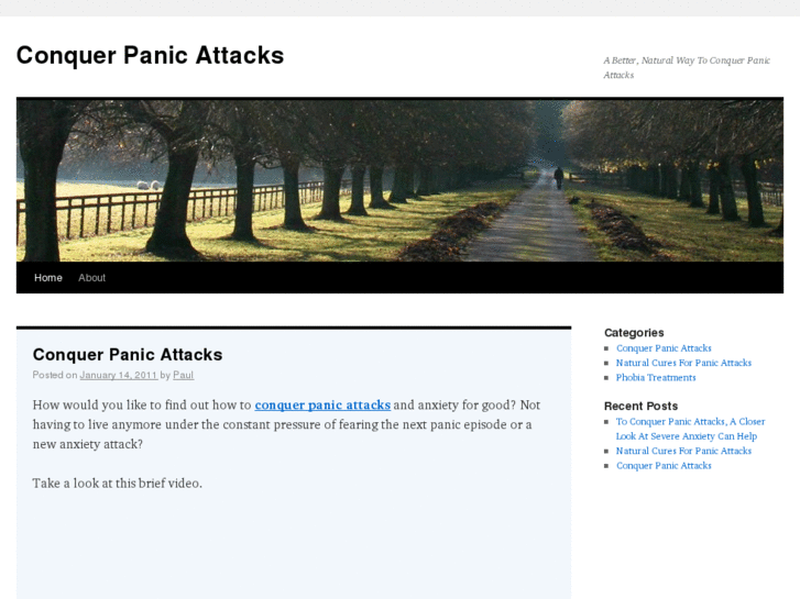 www.conquerpanicattacks.info