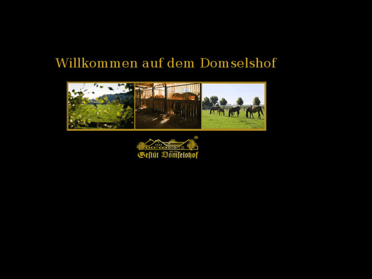 www.domselshof.de