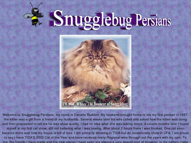 www.snugglebugcats.com