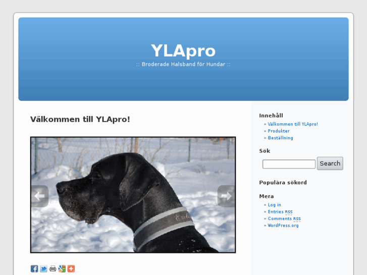 www.ylapro.com