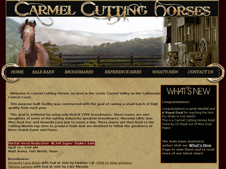 www.carmelcuttinghorses.com