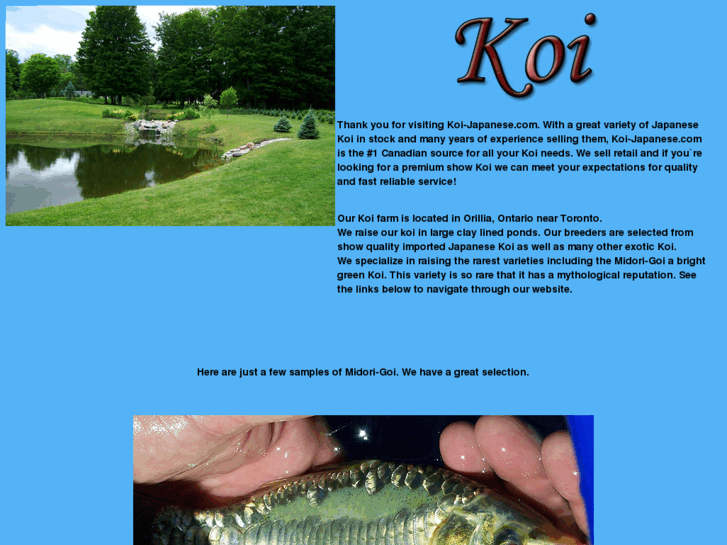 www.koi-japanese.com