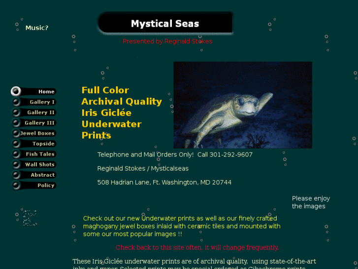 www.mysticalseas.com