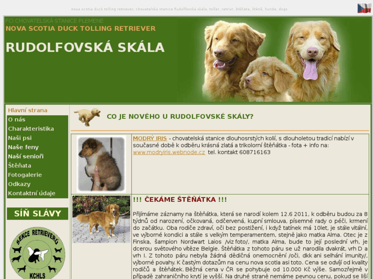 www.nova-scotia-retriever.cz