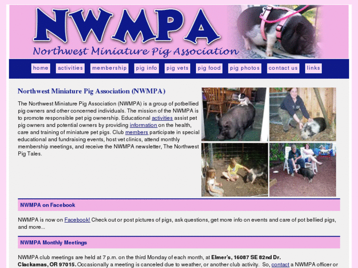 www.nwpetpigs.com