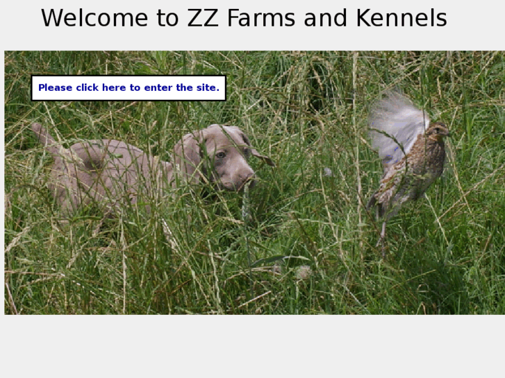 www.zzfarms.com