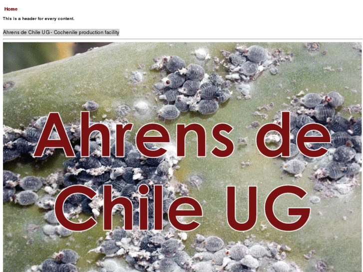 www.ahrensdechile.com