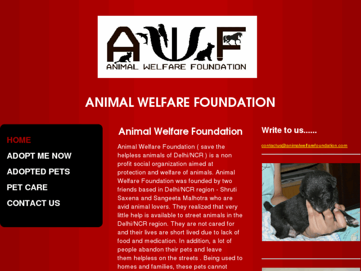 www.animalwelfarefoundation.com
