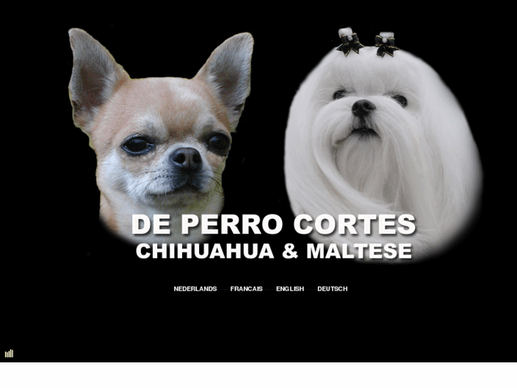 www.deperrocortes.be