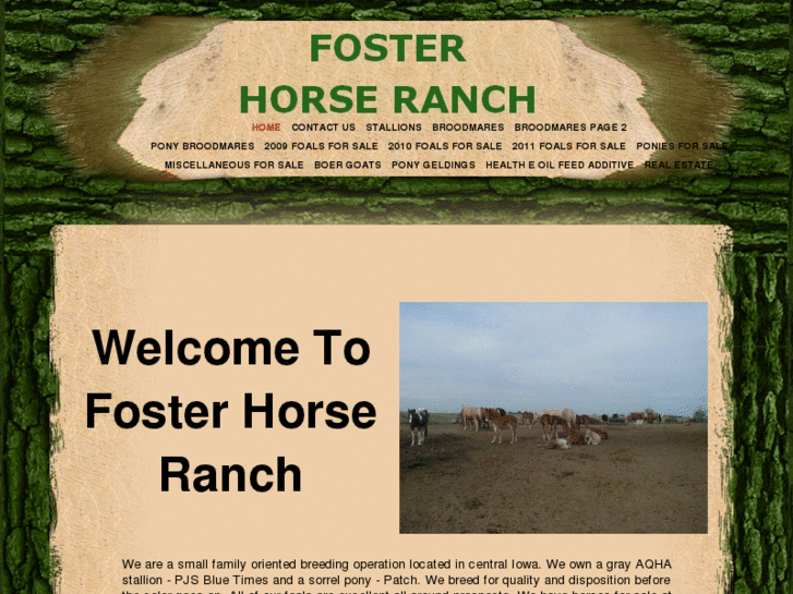 www.fosterhorseranch.com