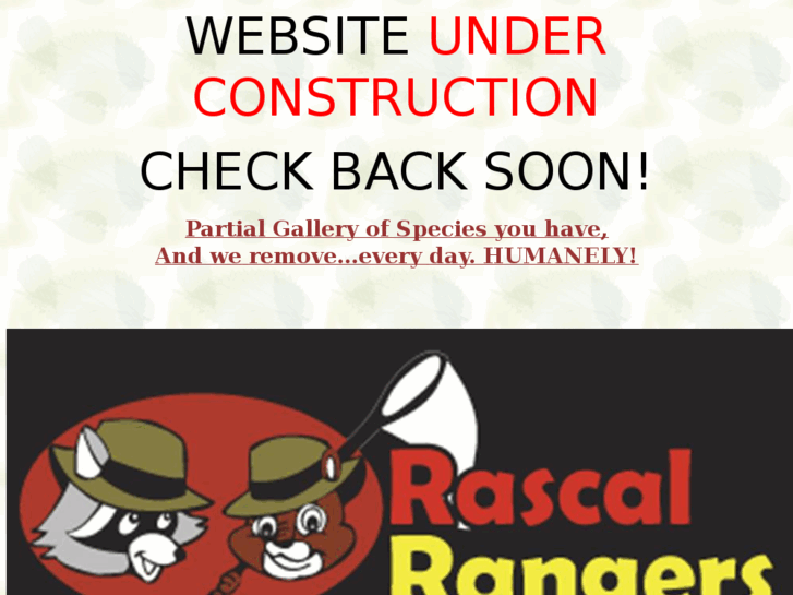 www.rascalrangers.com