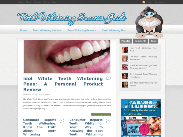 www.teethwhiteningsuccessguide.com