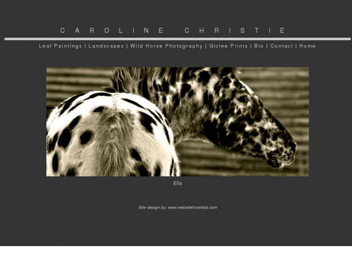 www.carolinechristieart.com