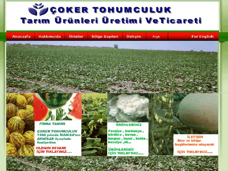 www.cokertohumculuk.com