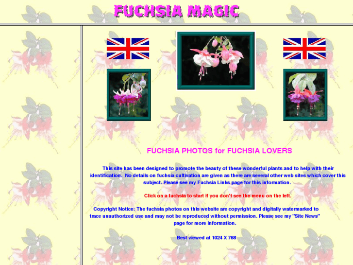 www.fuchsiamagic.com