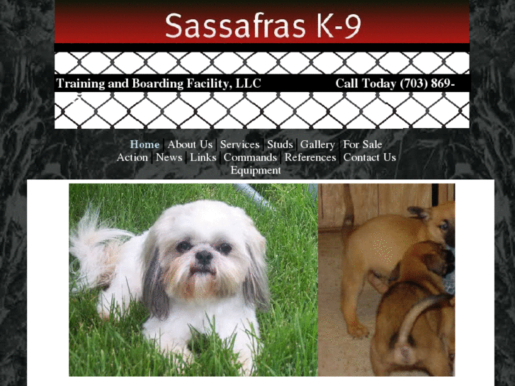 www.sassafrask9.com
