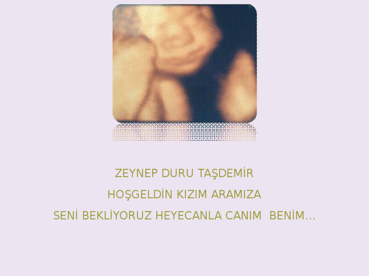 www.zeynepdurutasdemir.com