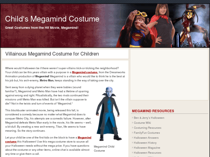 www.buymegamindcostume.com