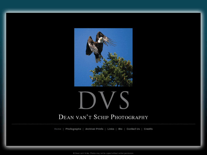 www.dvsphotography.com