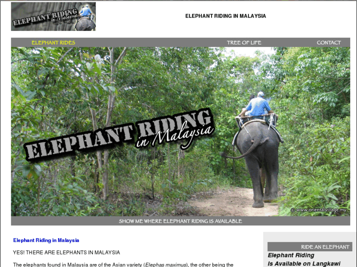 www.elephantrides.asia