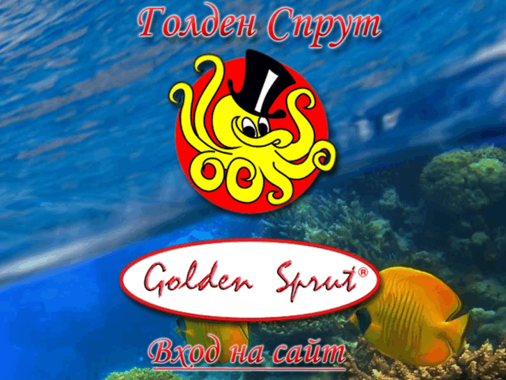 www.golden-sprut.com