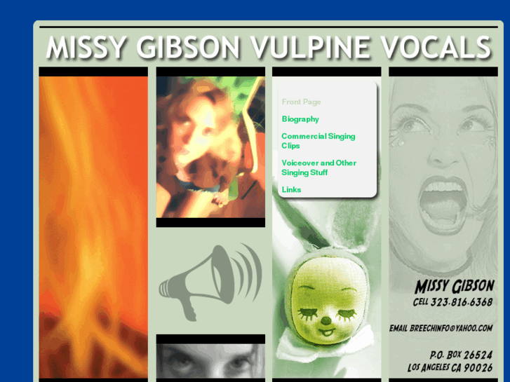 www.missygibson.com