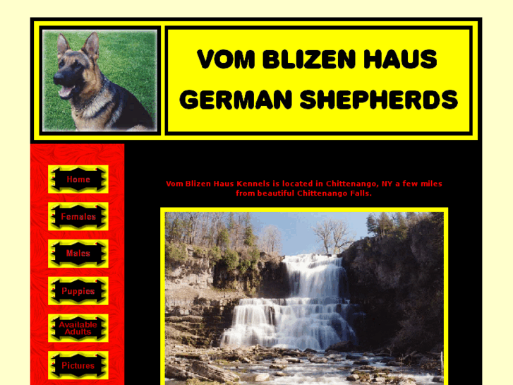 www.vomblizenhaus.com