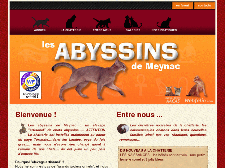 www.abyssindemeynac.com