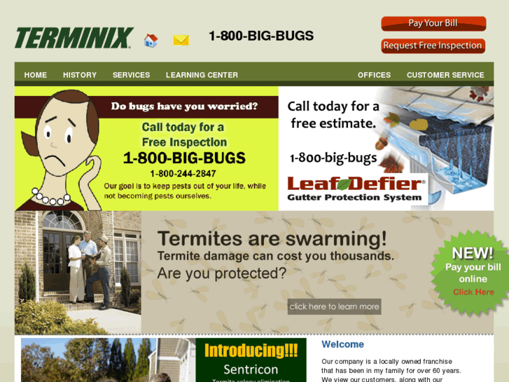 www.bigbugs.com