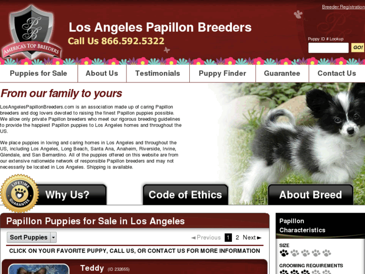 www.losangelespapillonbreeders.com