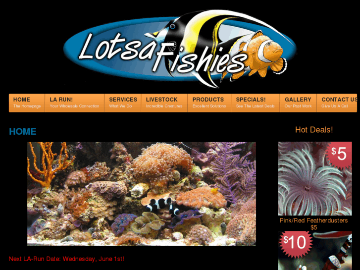 www.lotsafishies.com