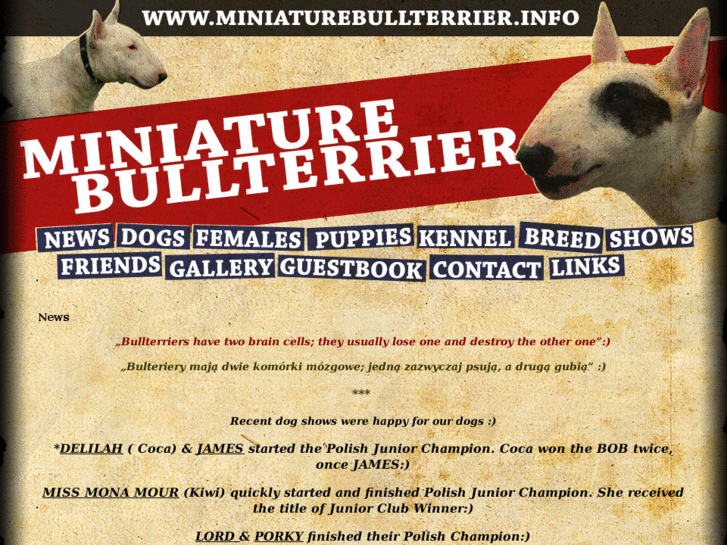 www.miniaturebullterrier.info