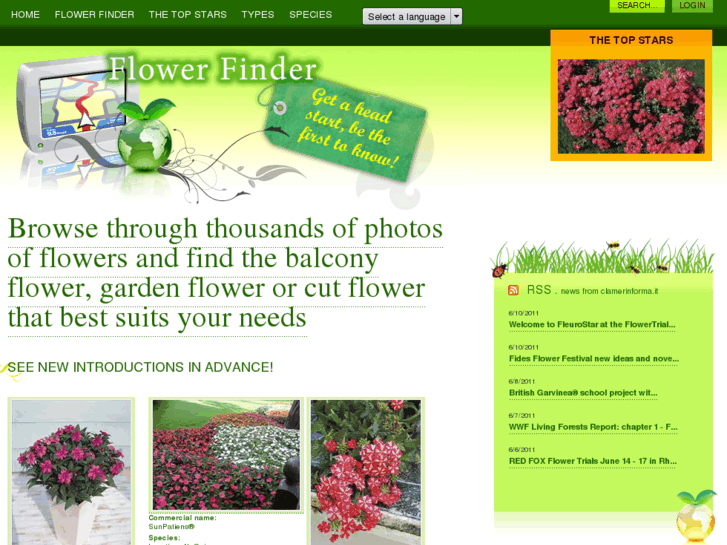 www.myflowerfinder.com