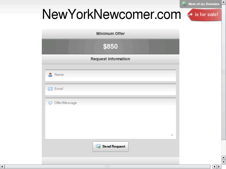 www.newyorknewcomer.com