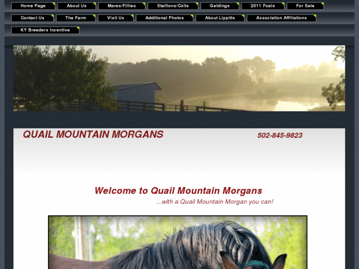 www.quailmountainmorgans.com