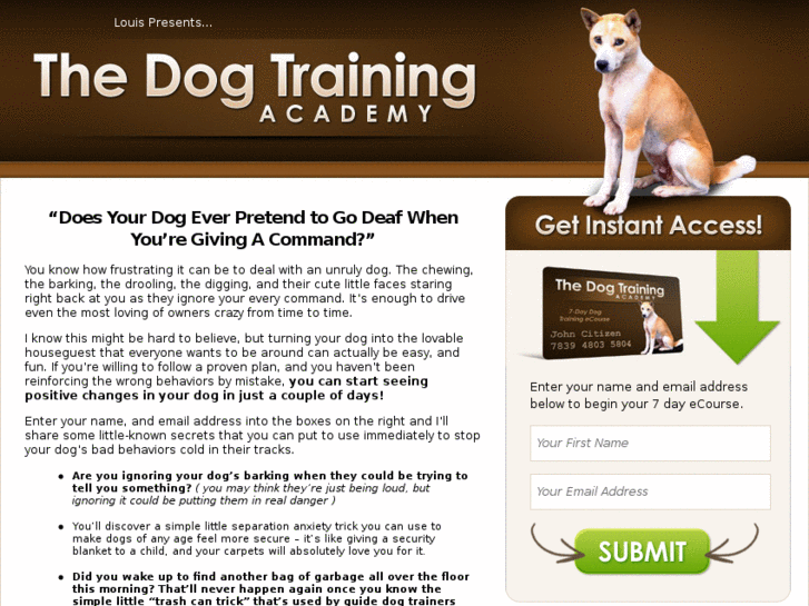 www.teachdogtraining.com