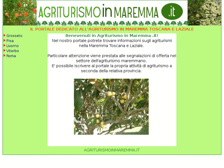 www.agriturismoinmaremma.it