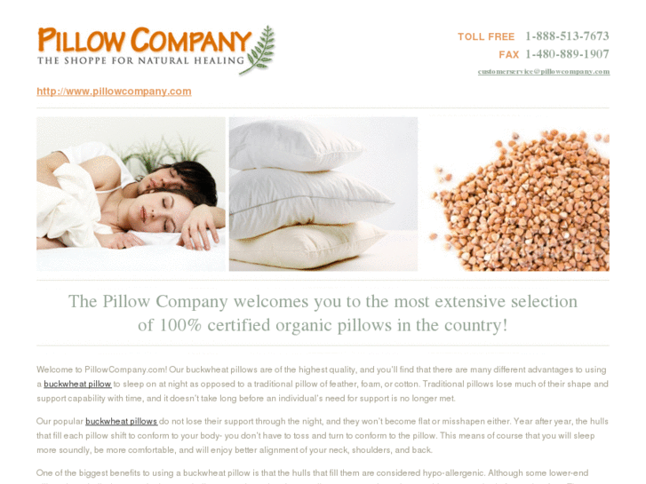 www.buckwheathullpillow.info