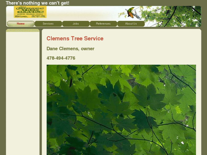 www.clemenstreeservice.com