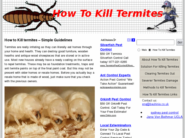 www.howtokilltermites.org.uk