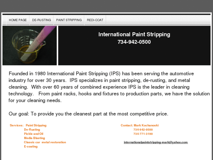 www.internationalpaintstripping.com