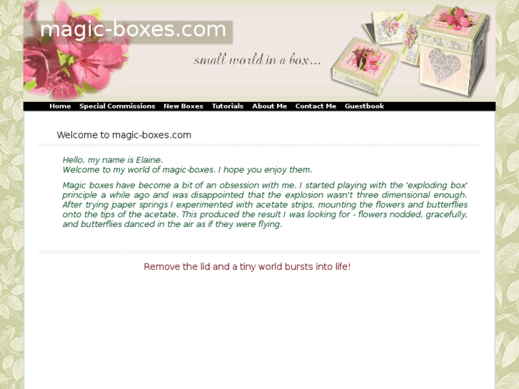 www.magic-boxes.com