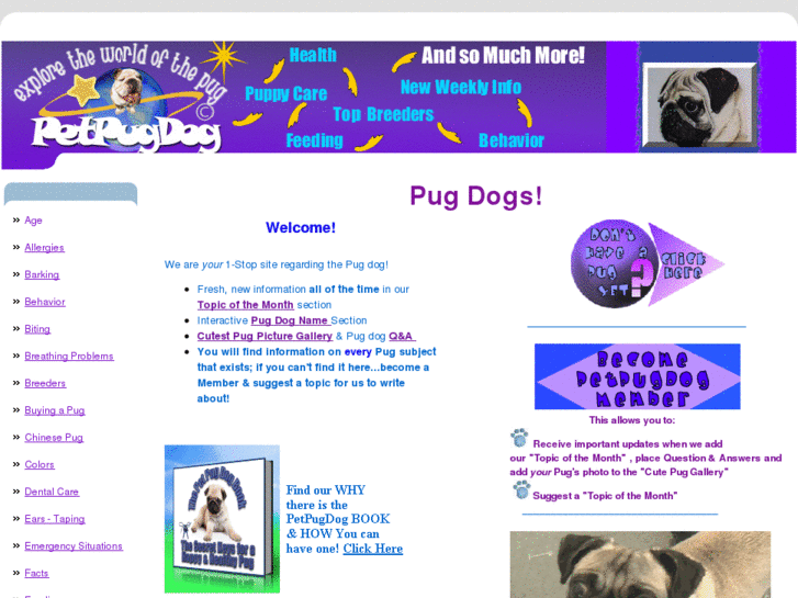 www.petpugdog.com