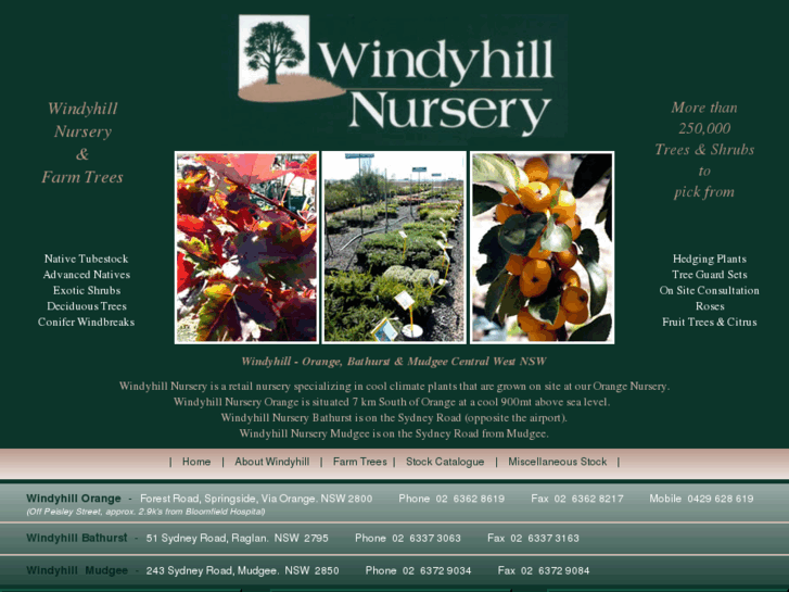 www.windyhillfarmtrees.com