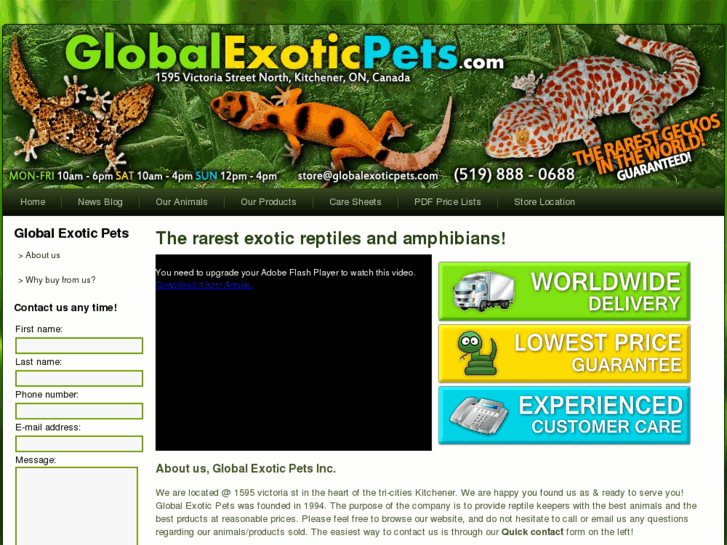 www.globalexoticpets.com